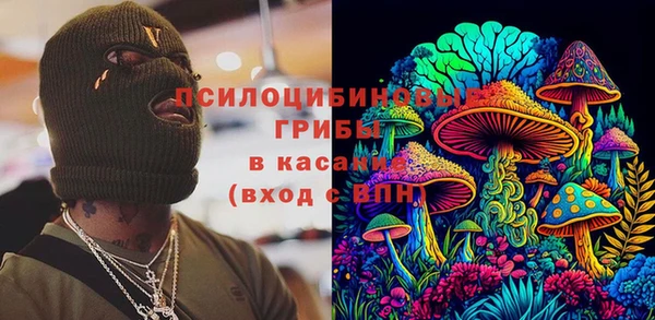 твердый Кодинск