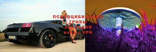 молекула духа Ессентукская