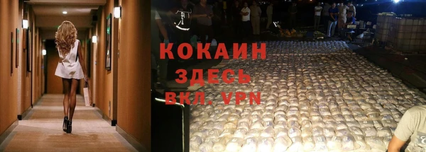 твердый Кодинск